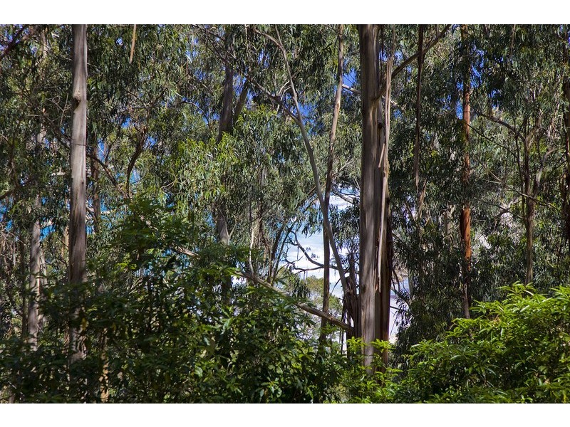 17  Koonya Avenue, Wye River VIC 3221