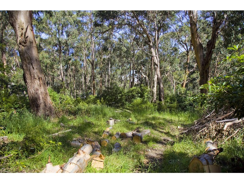 17  Koonya Avenue, Wye River VIC 3221