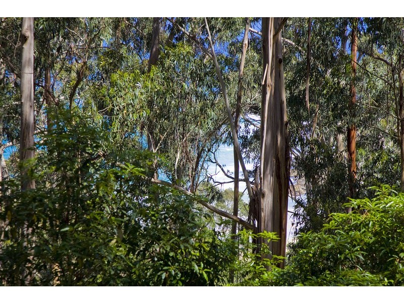 17  Koonya Avenue, Wye River VIC 3221