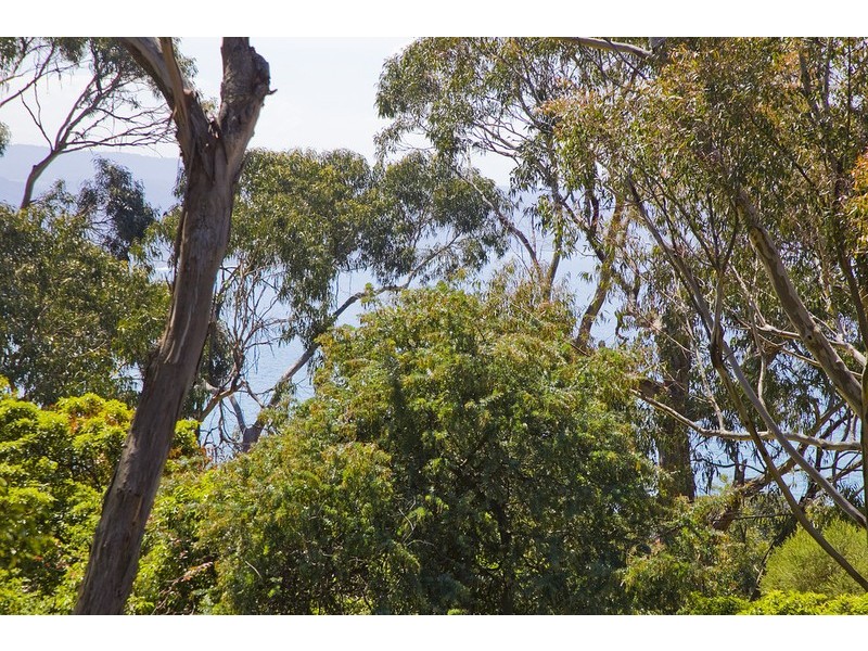 8 Francis Street, Lorne VIC 3232