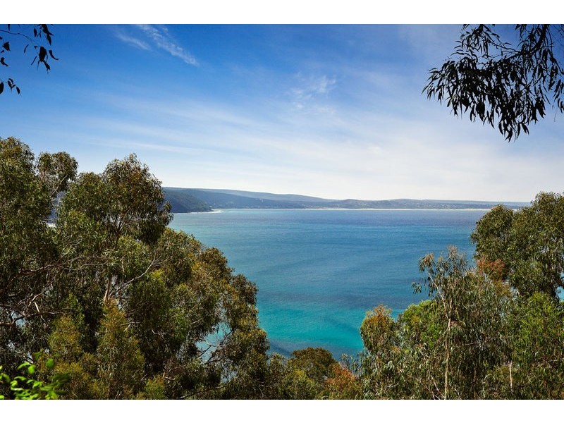 57 George Street, Lorne VIC 3232