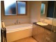 1383 Birregurra Road, Deans Marsh VIC 3235