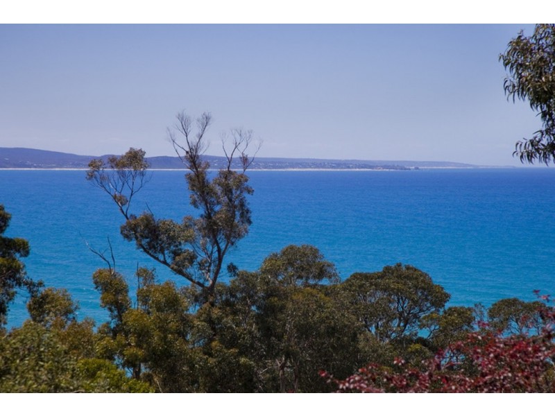 66 Charles Street, Lorne VIC 3232