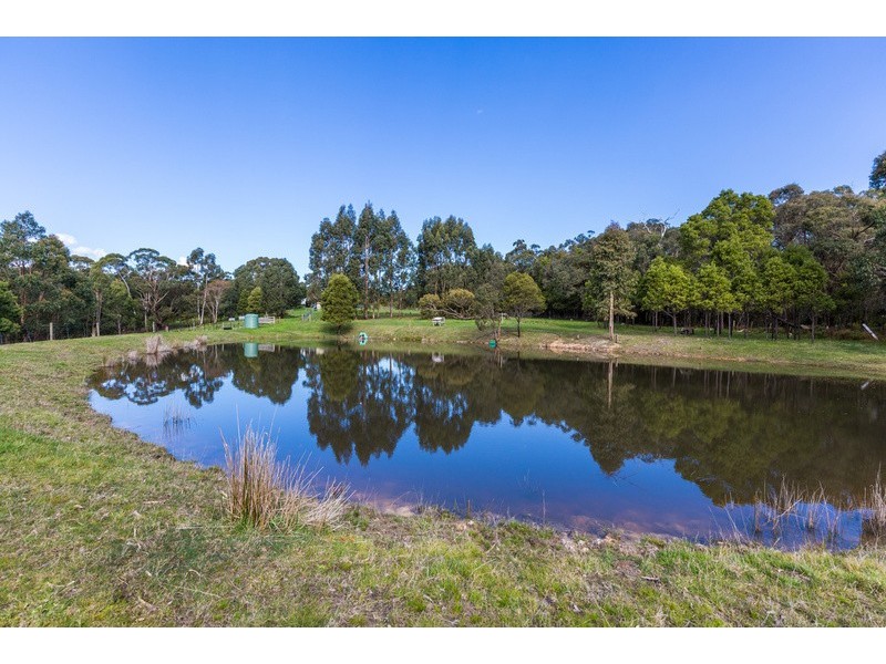 255 Parkers Road, Deans Marsh VIC 3235