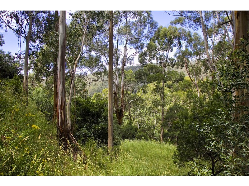 35 Riverside Drive, Wye River VIC 3221