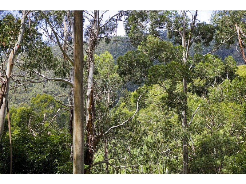 35 Riverside Drive, Wye River VIC 3221
