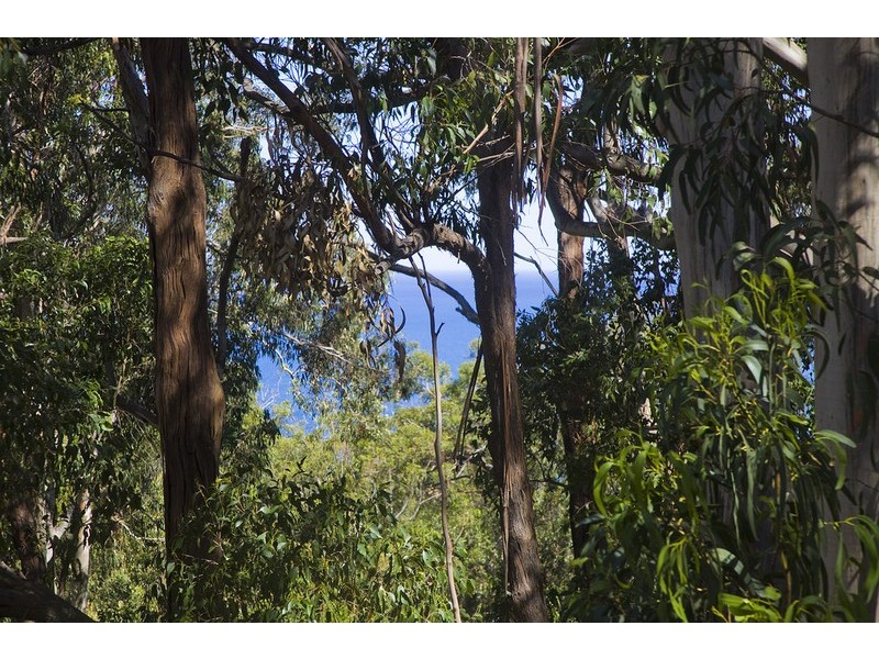 33 Cassidy Drive, Kennett River VIC 3221