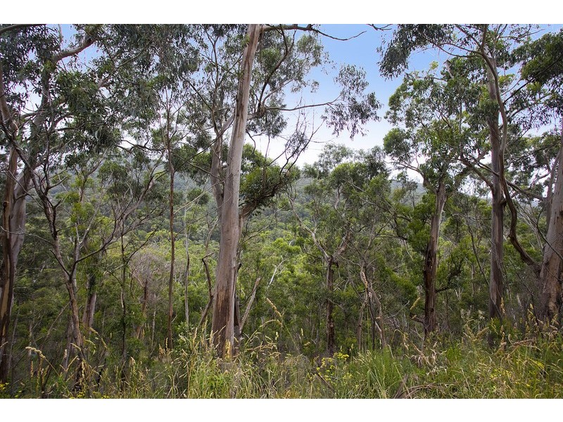 33 Cassidy Drive, Kennett River VIC 3221