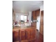 480 Wymbooliel Road, Deans Marsh VIC 3235