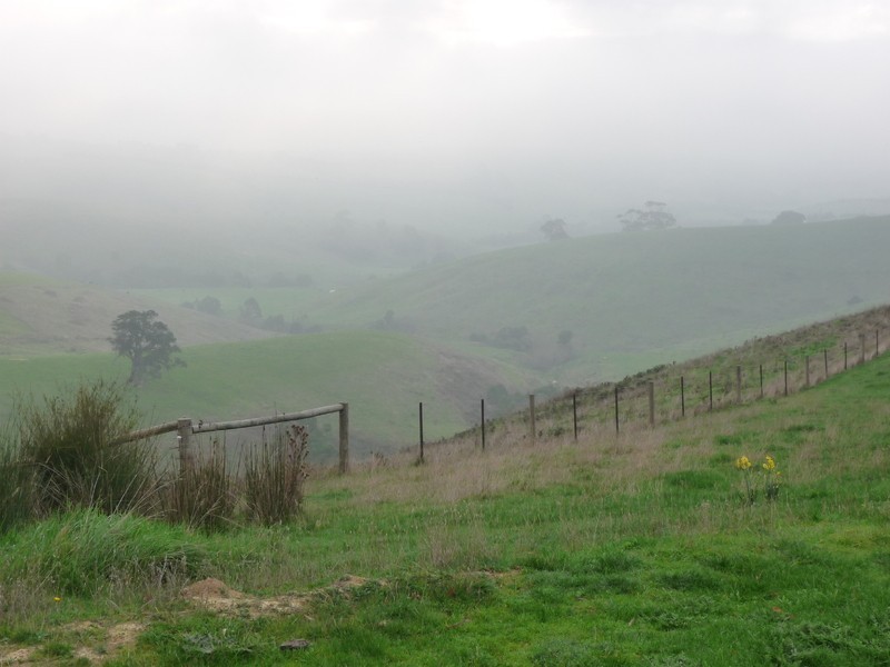 480 Wymbooliel Road, Deans Marsh VIC 3235