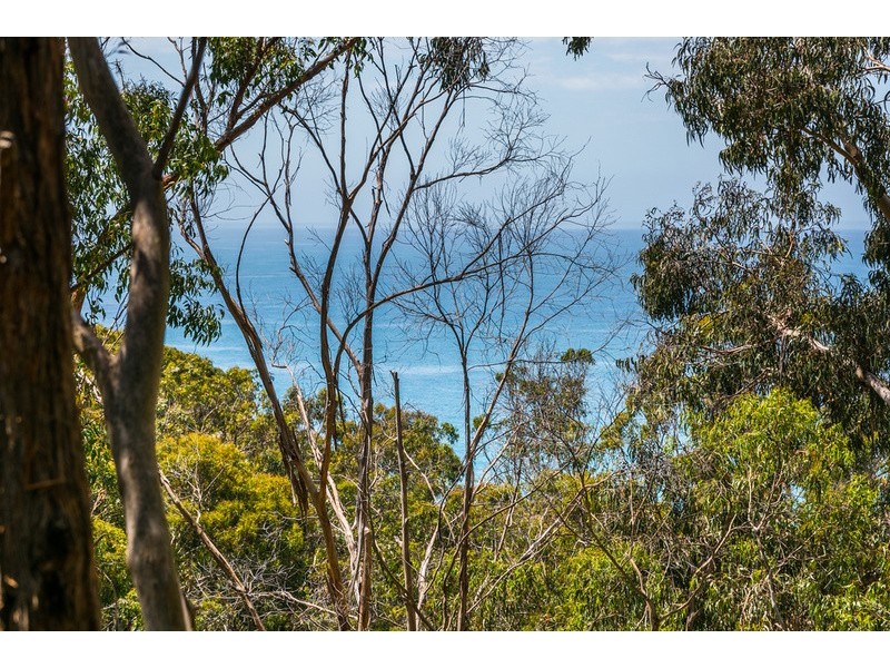 13 Cassidy Drive, Kennett River VIC 3221