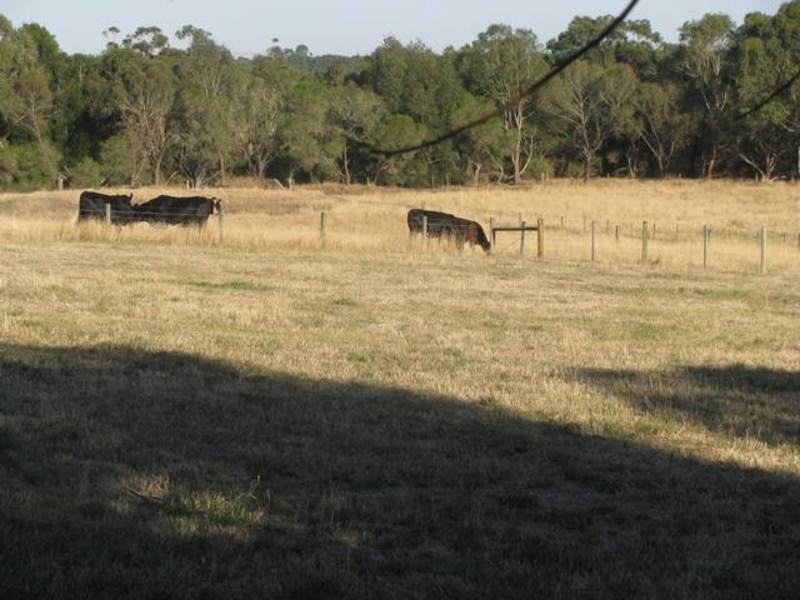 38 Ennis Street, Birregurra VIC 3242