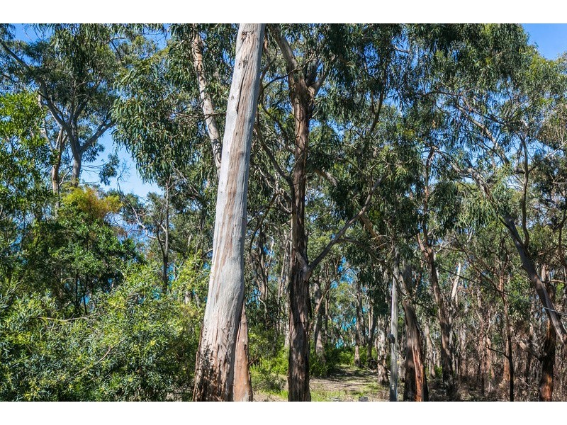 24 Cassidy Drive, Kennett River VIC 3221