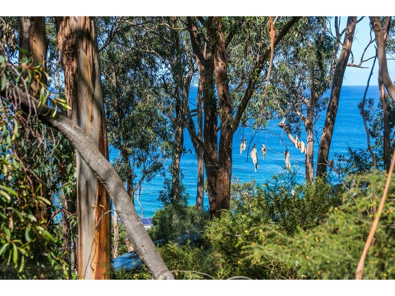 11 Cassidy Drive, Kennett River VIC 3221