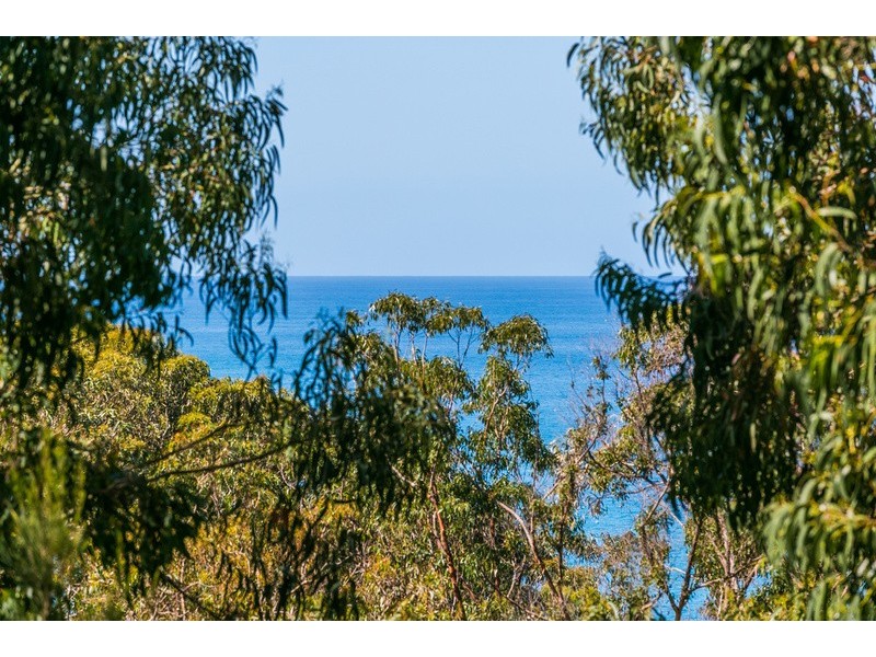 11 Cassidy Drive, Kennett River VIC 3221