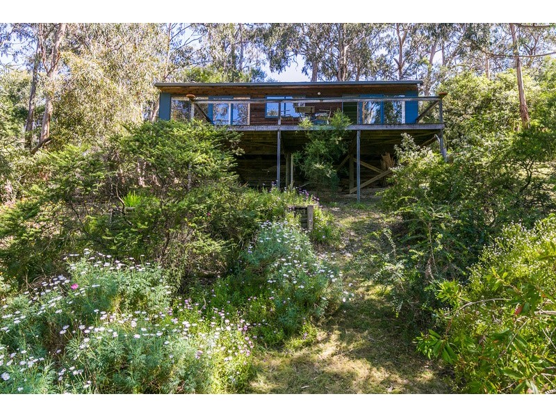 11 Cassidy Drive, Kennett River VIC 3221