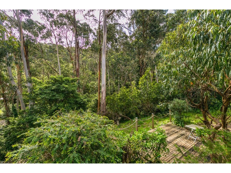 7  Mitchell Grove, Separation Creek VIC 3221