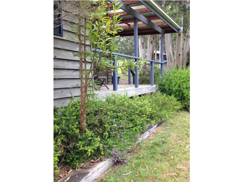 C/1480 Deans Marsh Road, Lorne VIC 3232