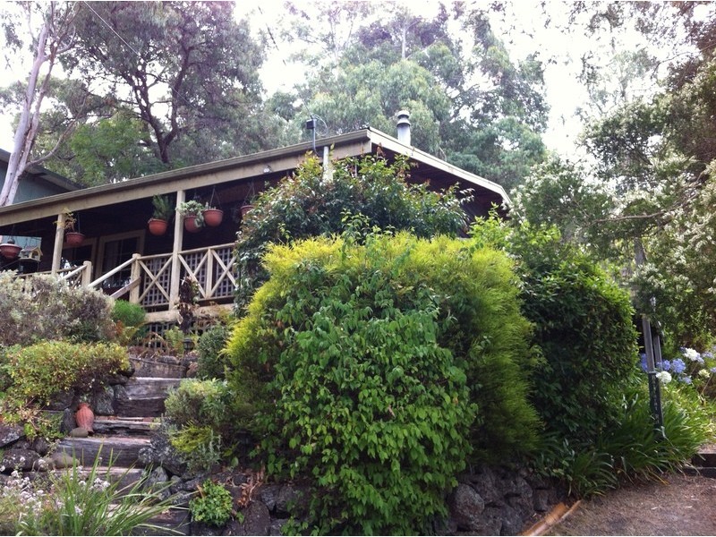 19 Belvedere Terrace, Lorne VIC 3232