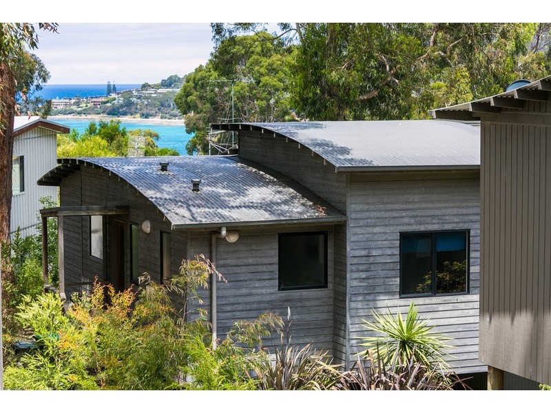 20A Belvedere Terrace, Lorne VIC 3232