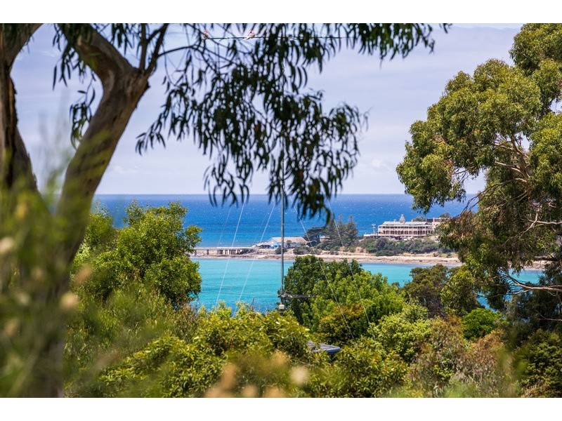 20A Belvedere Terrace, Lorne VIC 3232