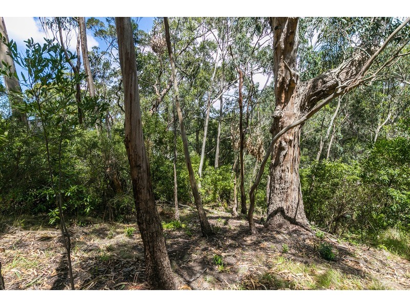21 Durimbil Avenue, Wye River VIC 3221