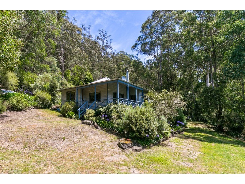 152 Allenvale Road, Lorne VIC 3232