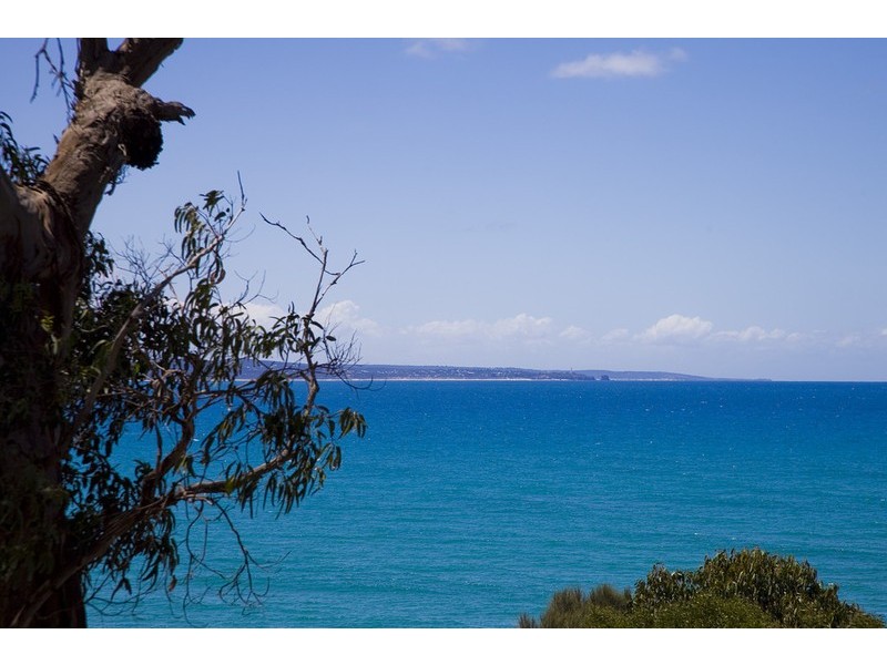 8/260 Mountjoy Parade, Lorne VIC 3232