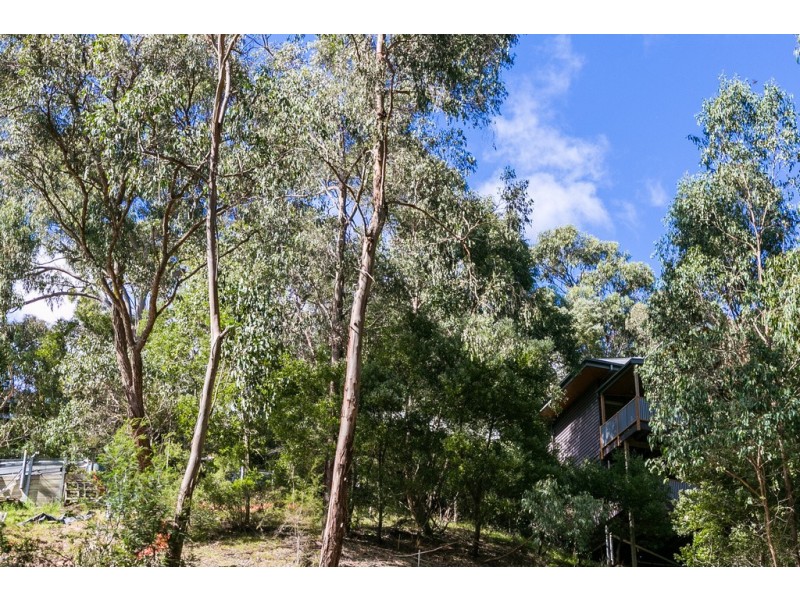 8/28 Clissold Street, Lorne VIC 3232