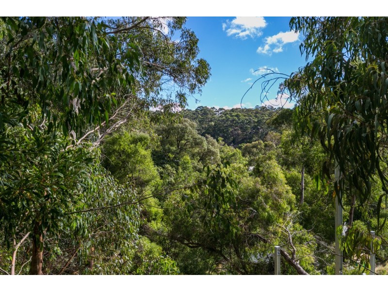 8/28 Clissold Street, Lorne VIC 3232