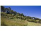 75 Sincocks Road, Lorne VIC 3232