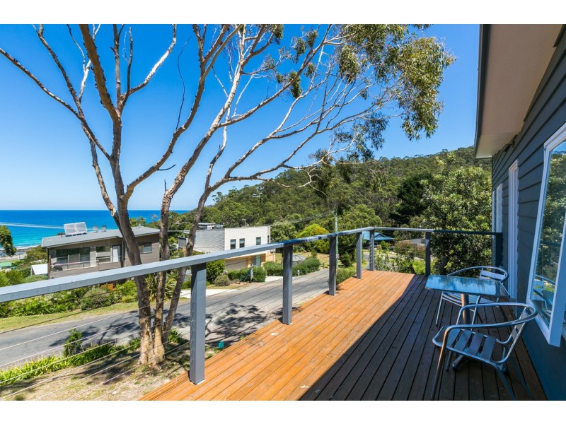17 Harrington Street, Separation Creek VIC 3221