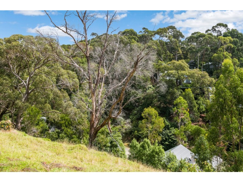 2/28 Clissold Street, Lorne VIC 3232