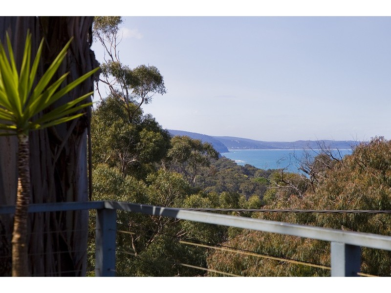 24 Hopetoun Terrace, Lorne VIC 3232