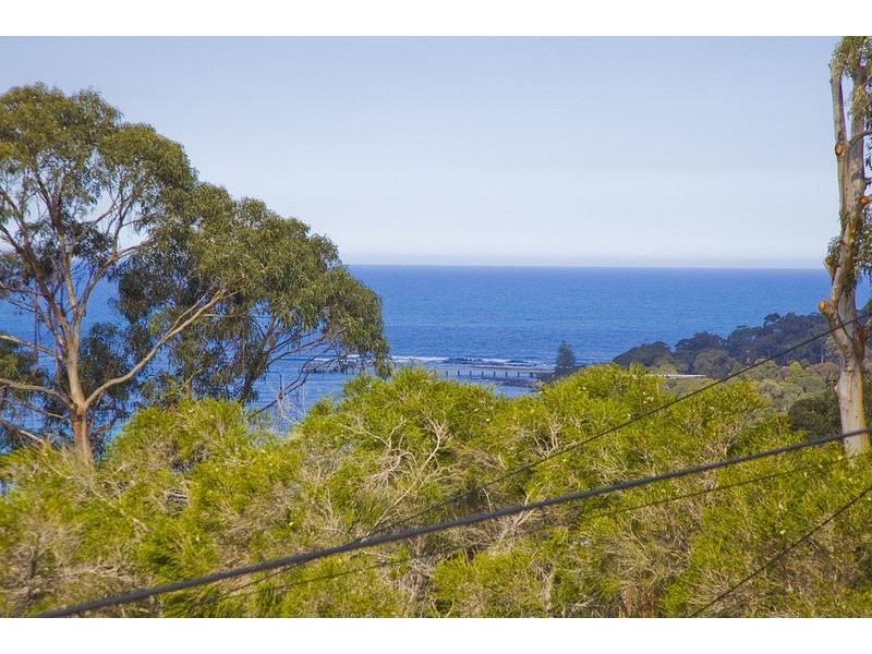 24 Hopetoun Terrace, Lorne VIC 3232