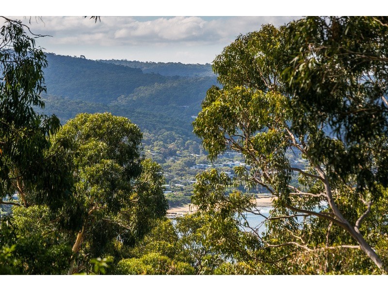 15 Alsop Street, Lorne VIC 3232