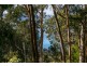 15 Alsop Street, Lorne VIC 3232