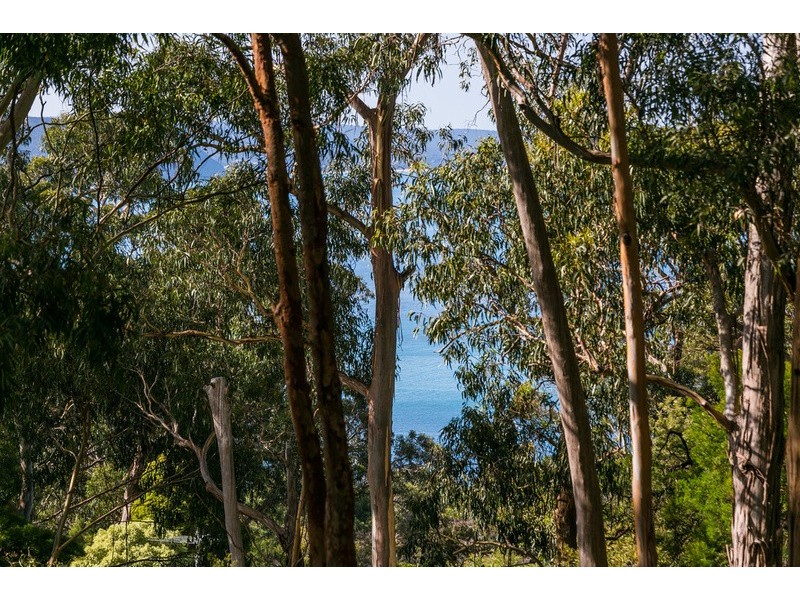 15 Alsop Street, Lorne VIC 3232