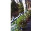 15 Alsop Street, Lorne VIC 3232