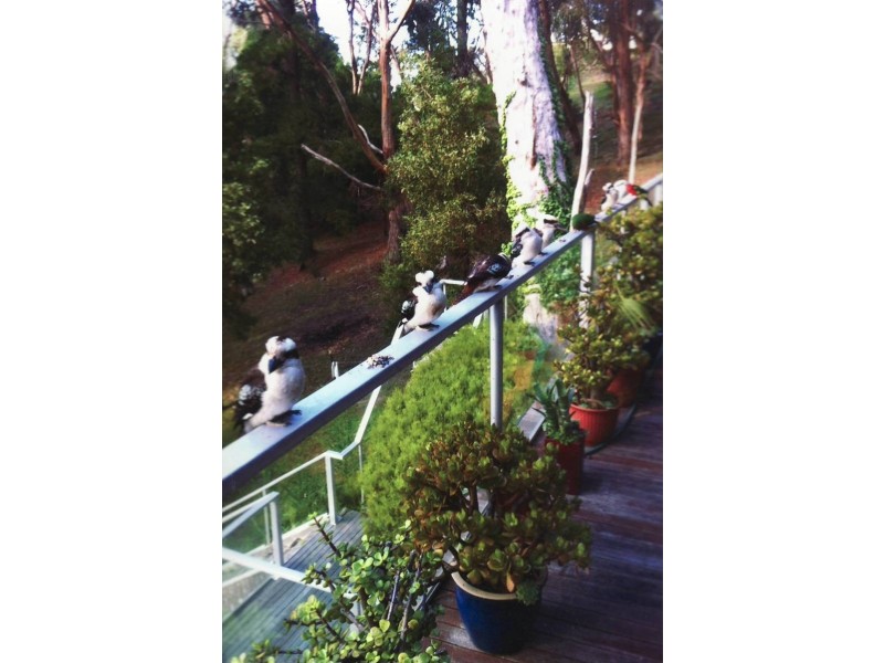 15 Alsop Street, Lorne VIC 3232