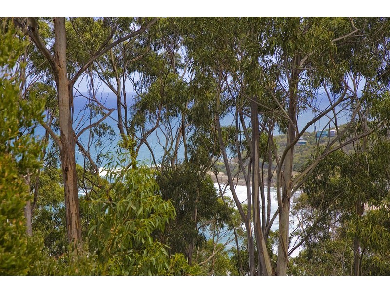 15 Dunoon Road, Wye River VIC 3221