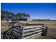 50 Ondit Road, Winchelsea VIC 3241