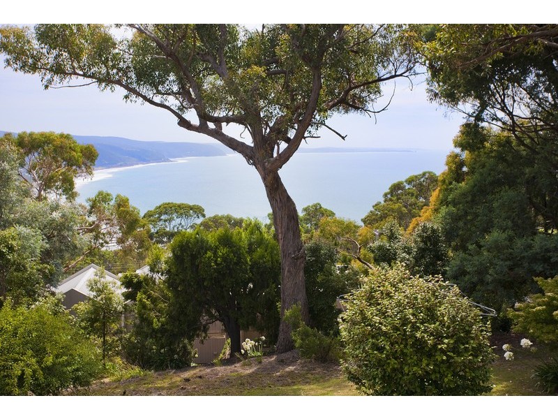 39-41 George Street, Lorne VIC 3232