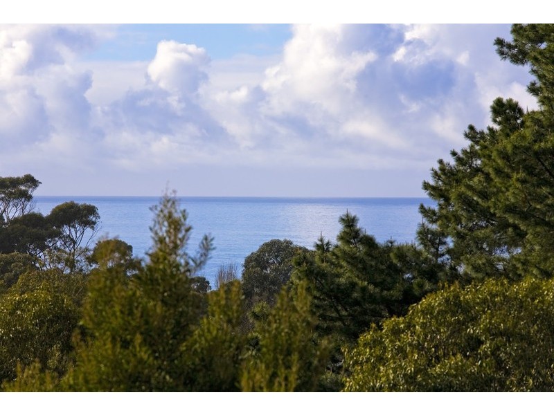 5 Richardson Boulevard, Lorne VIC 3232