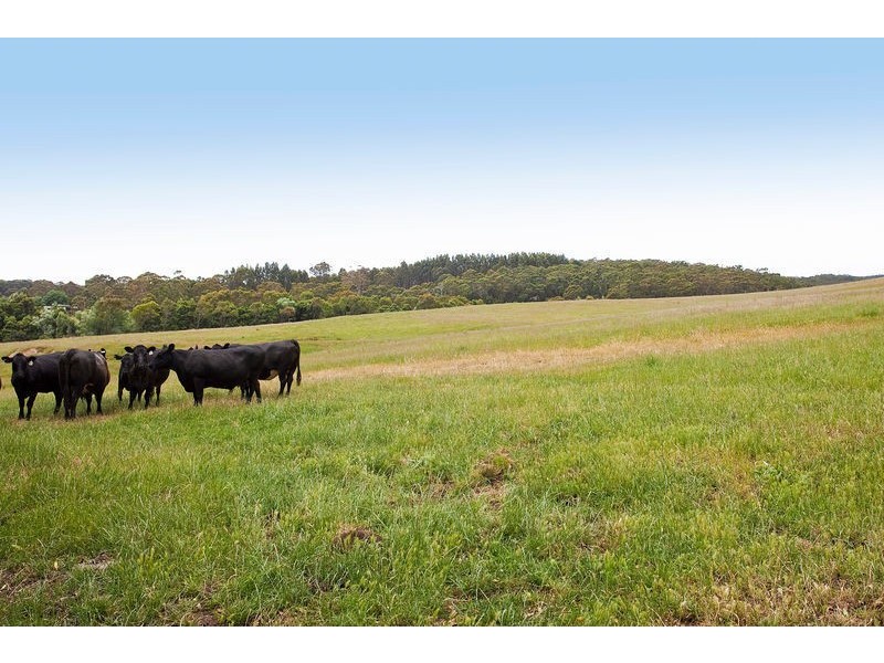 415 Pennyroyal-Valley Road, Pennyroyal VIC 3235