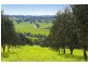 45 Old Lorne Road, Deans Marsh VIC 3235