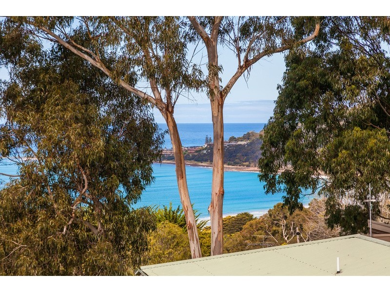 21 Normanby Terrace, Lorne VIC 3232