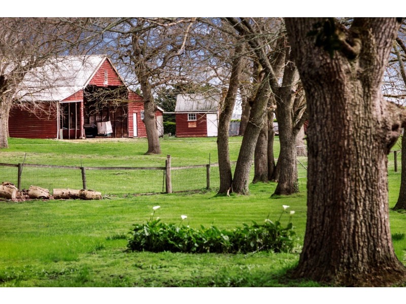 4100 Cape Otway Road, Birregurra VIC 3242