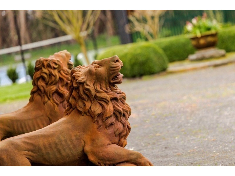 4100 Cape Otway Road, Birregurra VIC 3242