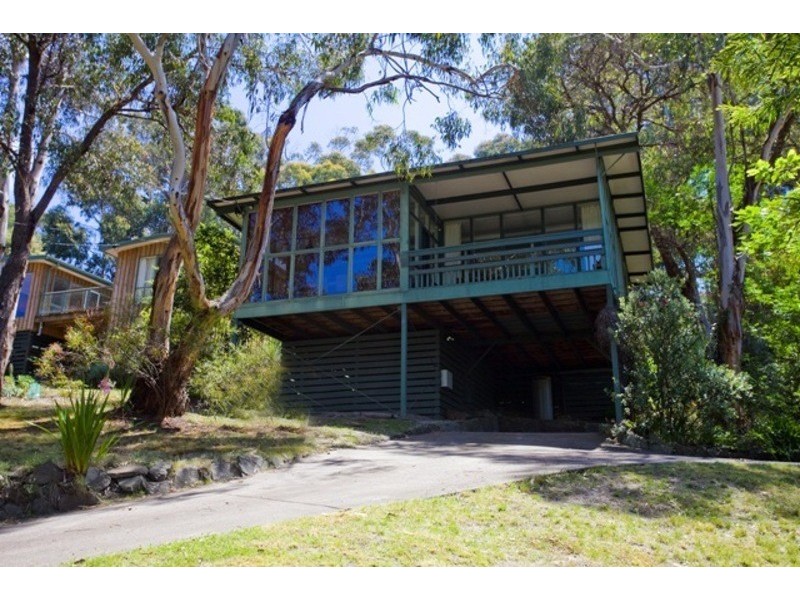 17 Belvedere Terrace, Lorne VIC 3232